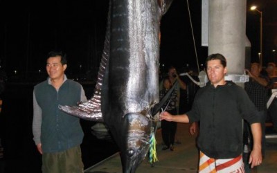 Dan Smiths 245kg (540lb) Blue Marlin